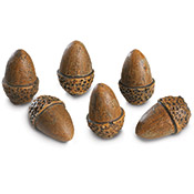 Acorns Package of 6...